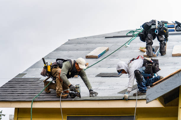 Professional Gutter Installation technician working in Lyle, MN